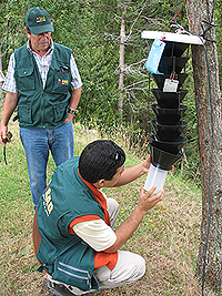 Vigilancia Forestal 01